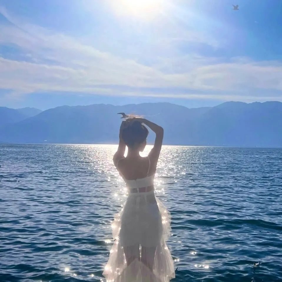我的海獭先生